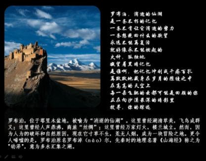 潮人新知·前沿发现 | 2024年是太阳活动“大年”，贵州发现新种“荔波金丝桃”
