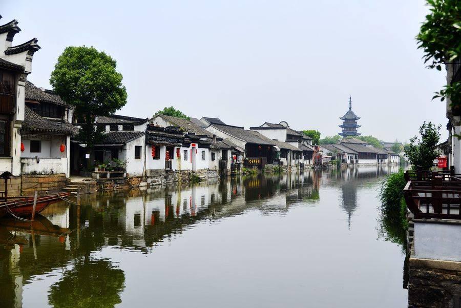 【新春走基层】阿尔金山无人区的青春之歌
